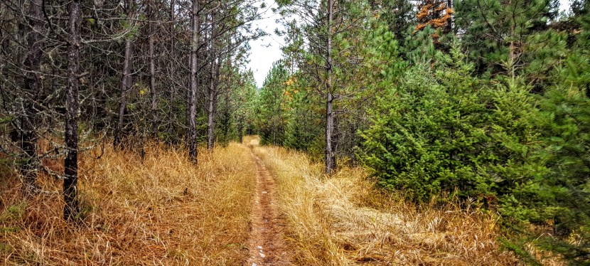 Missoula, Mt: Rattlesnake Rec&nbsp;Hike