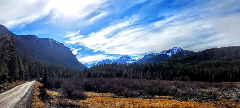 Bozeman, MT: Hyalite Creek Trail Hike