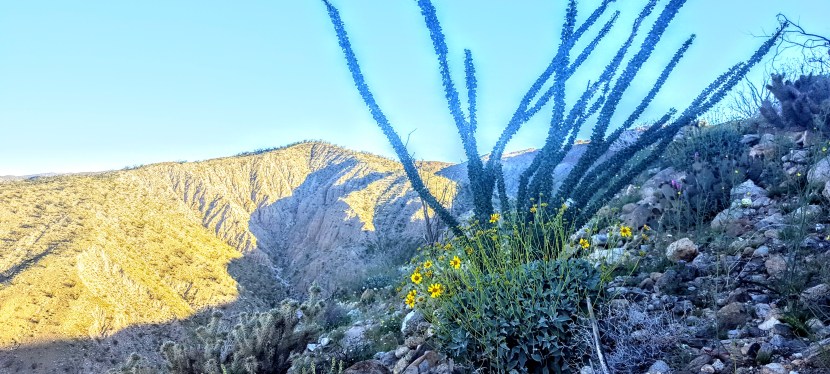 Cheers to “Alcoholic Pass” Hike, Anza Borrego,&nbsp;CA
