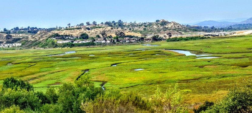 A little slice of something nice: Annie’s Canyon, San Elijo Lagoon Ecological Reserve