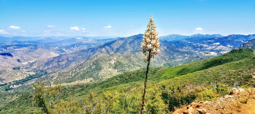 McGinty Mountain Trail: a sweet little gem in Jamul,&nbsp;CA