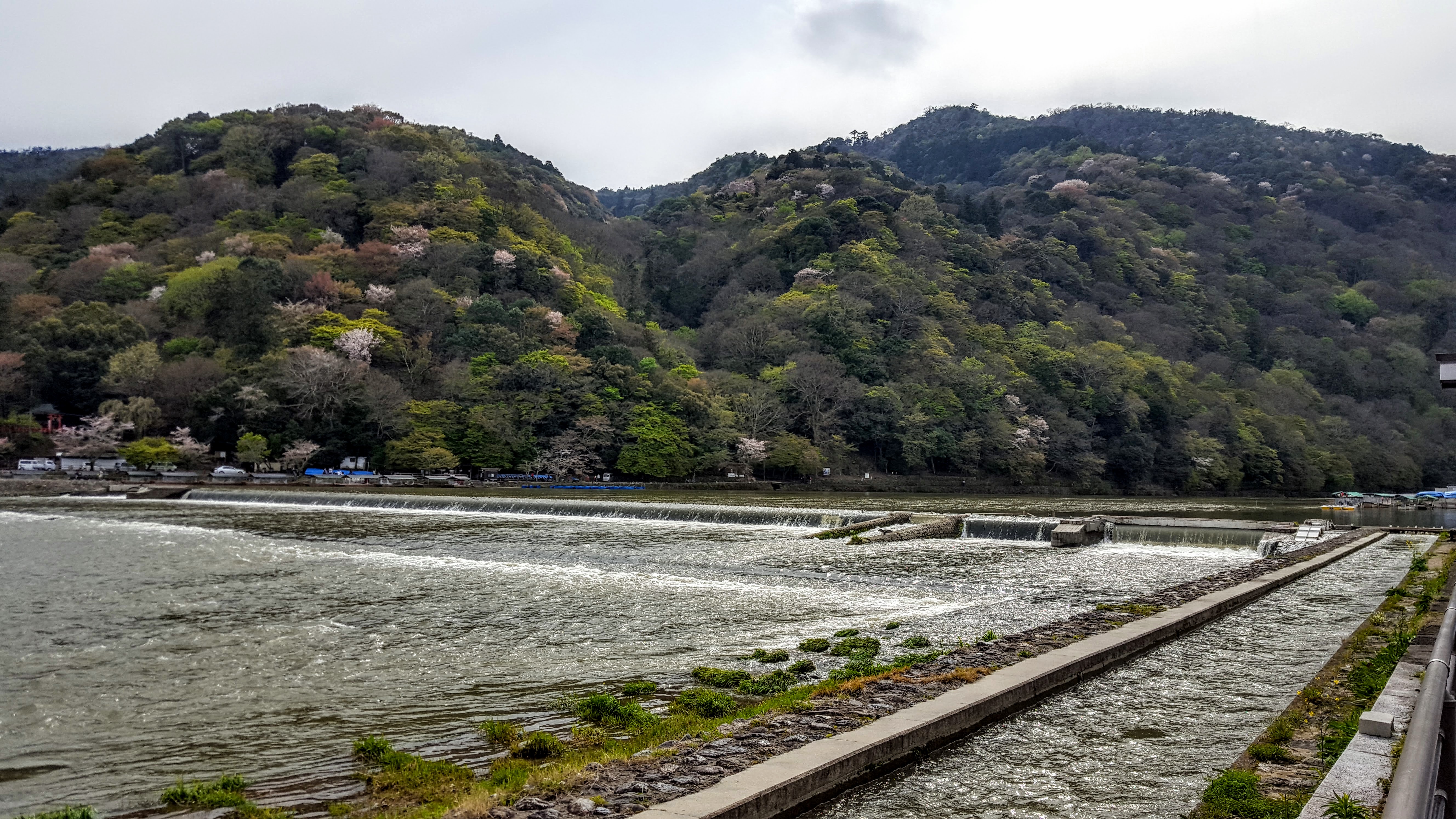 20160408_144041_001 (1)