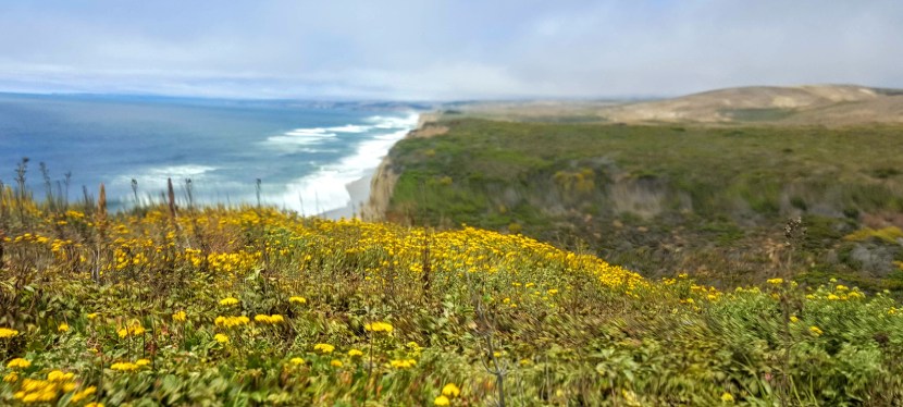 Cruise on by Santa Cruz – one solo woman traveler’s candid&nbsp;perspective