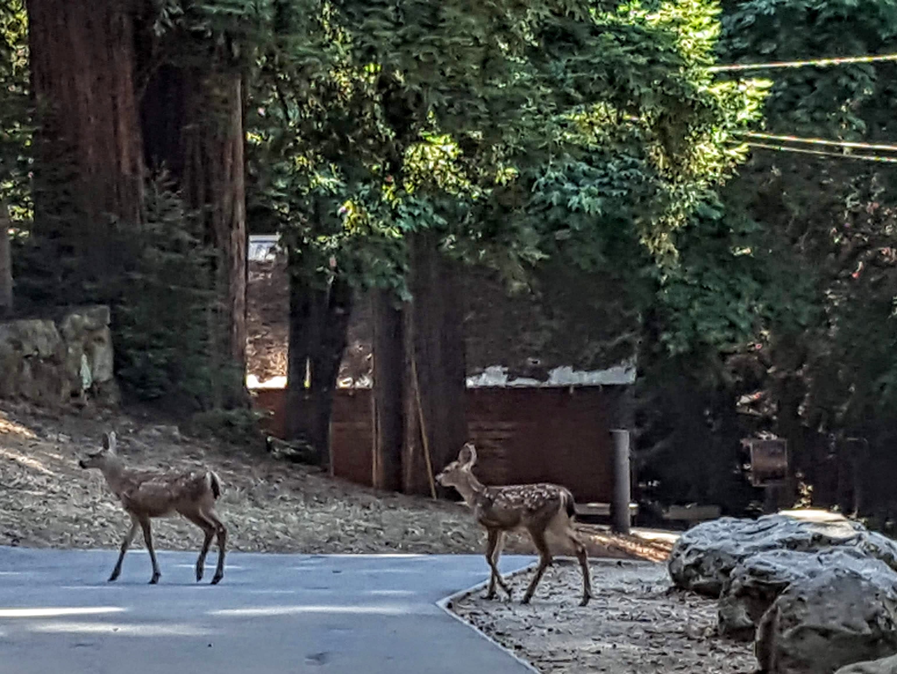 Sanborn park residents