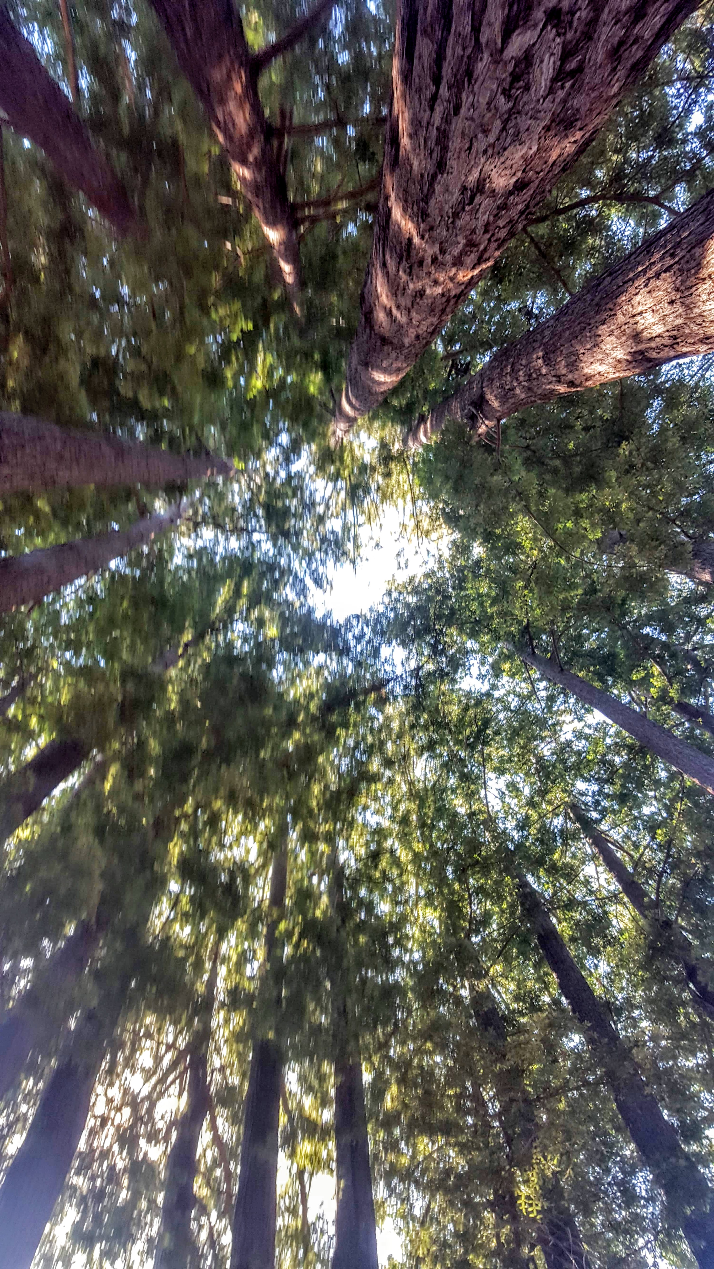 Things are looking up