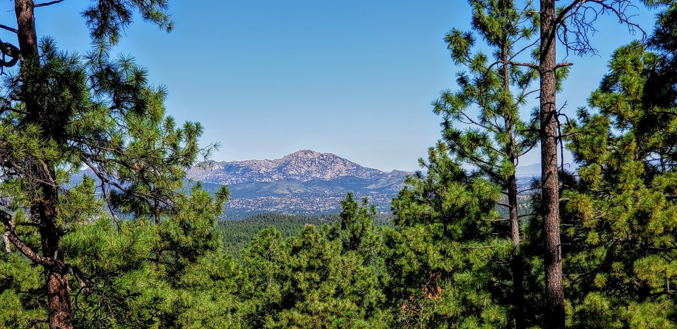 Views from the Spruce Mt Trail