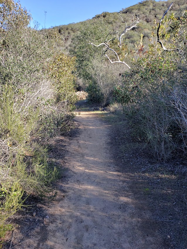 pleasant section of single track b summit