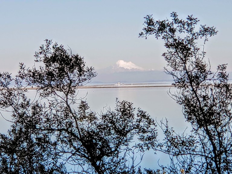 snowcap mt from DS.jpg