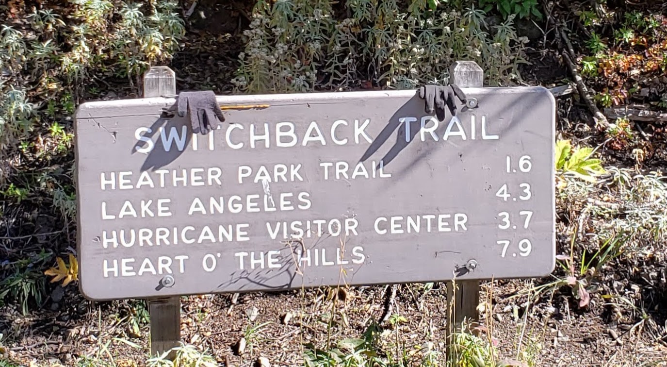 sign on hurricain ridge