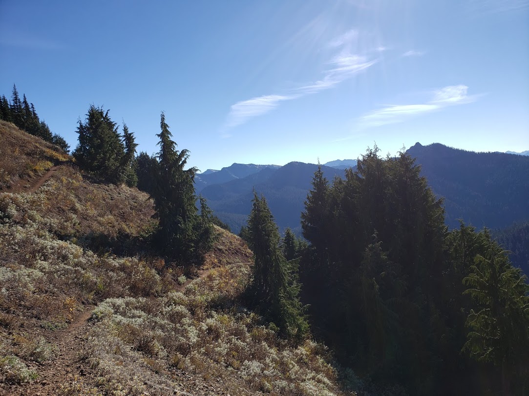 switchback trail looking back
