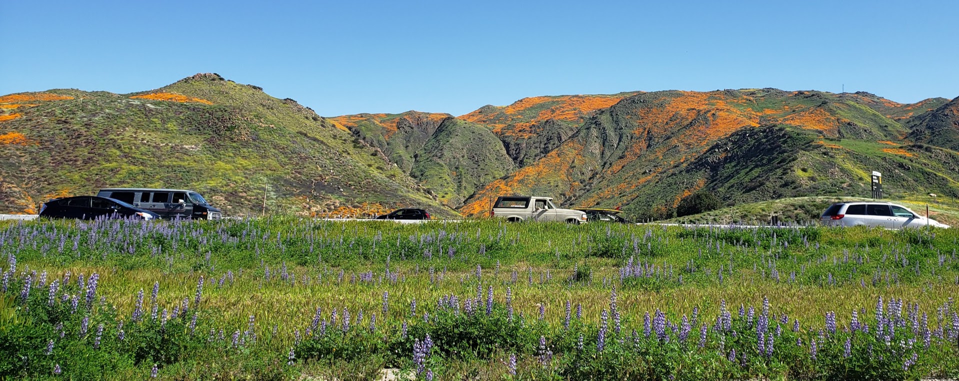 Views from the freeway 3.17