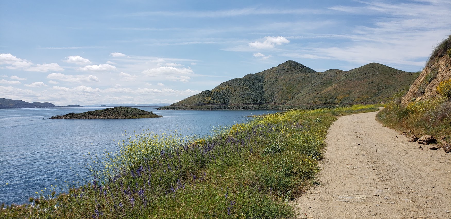 wildflower fireroad dvl