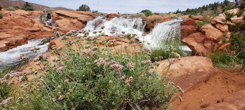 Scenic delights near St. George Part I: Gunlock State Park and Ivins’&nbsp;Reservoir