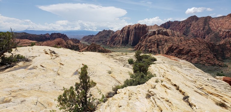 Scenic snow canyon