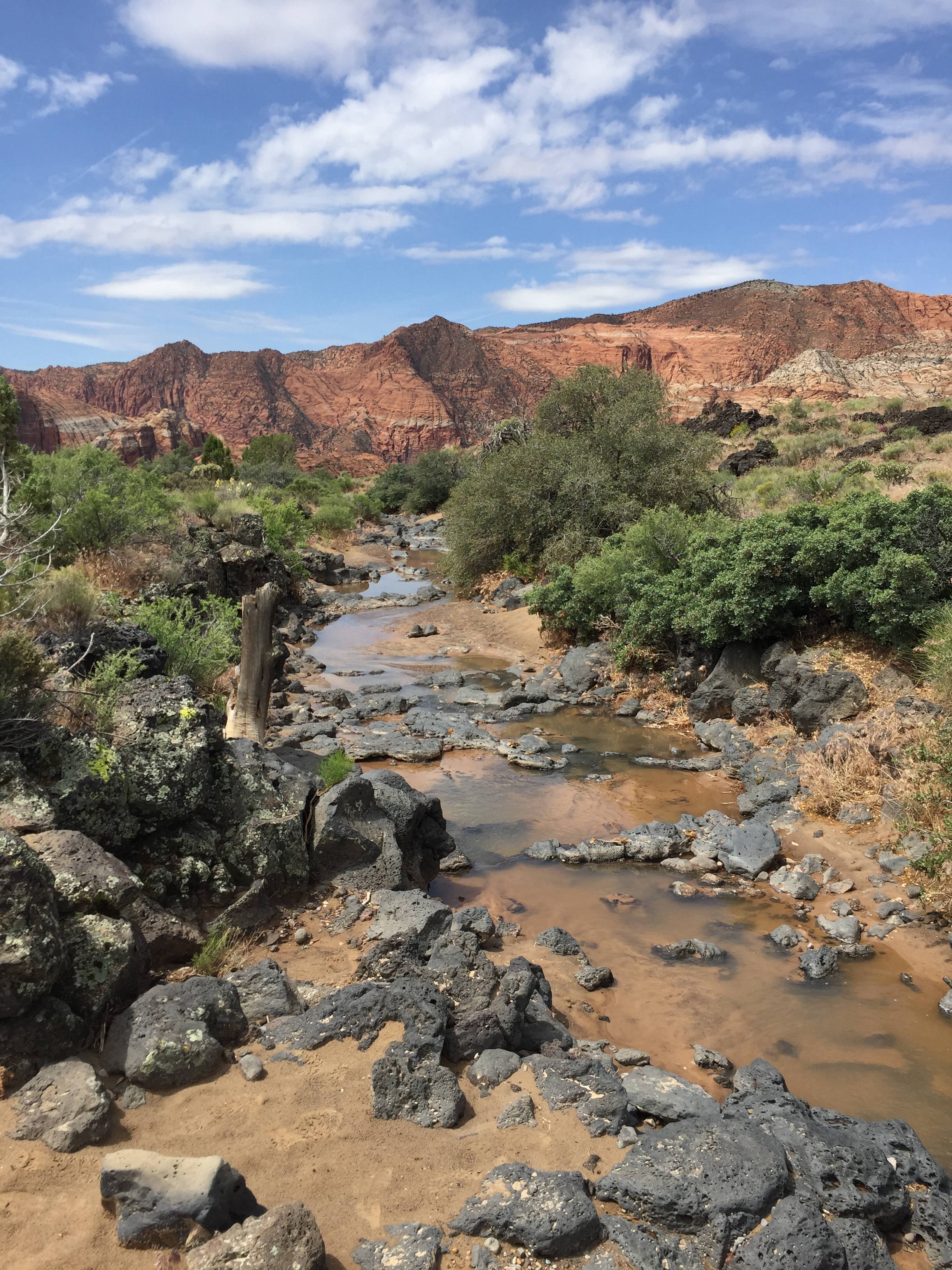 snow canyon stream