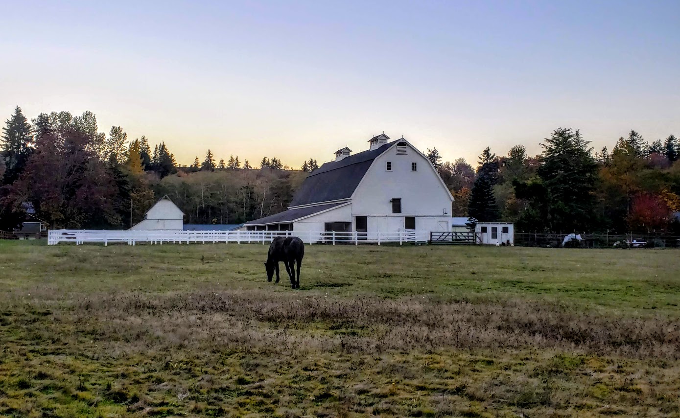 Port Angeles horse and barn