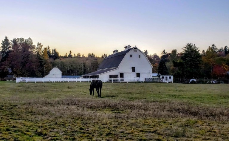 Port Angeles horse and barn