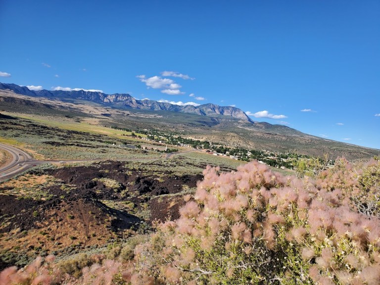 contrasts om the cindercone trail