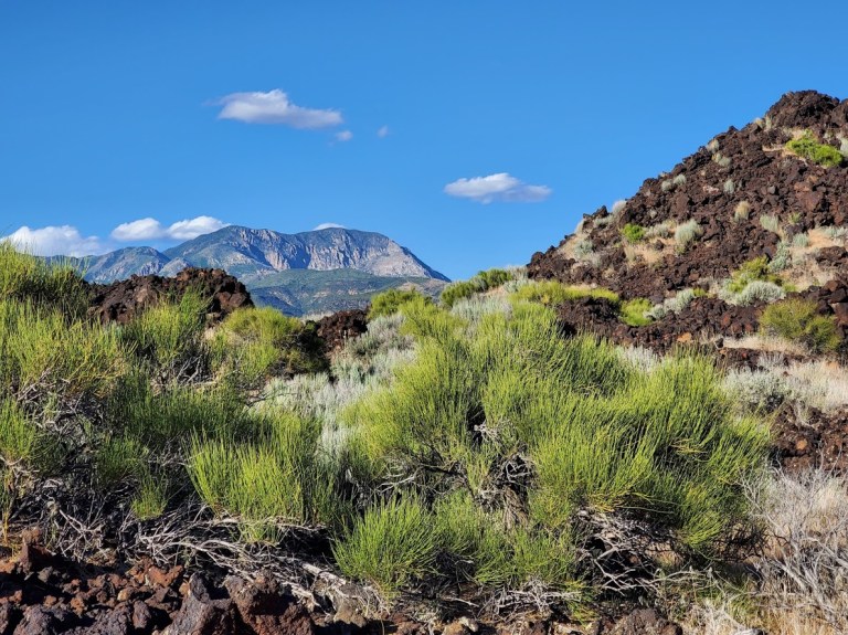 vistas from teh cinder cone trail