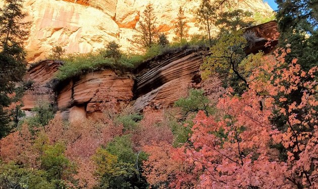 Spring Creek Canyon, A Perfect Little Fall Hike, Kanarraville,&nbsp;UT