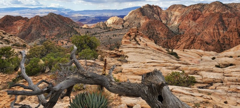 Yowza! Yant Flat! Leeds,&nbsp;UT