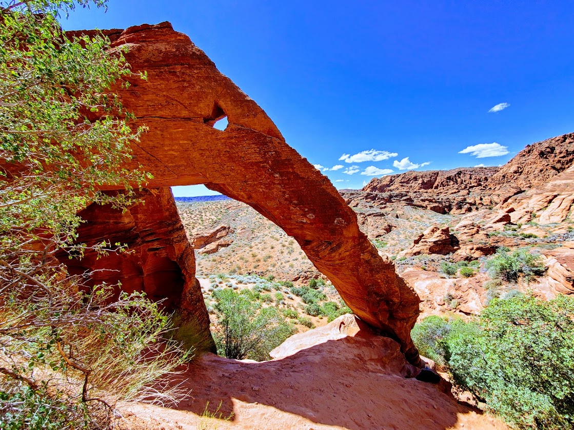 15 Best Hikes in St George, Utah for Red Rock Views, Easy Walks, and Hidden Trails 9 elephant arch