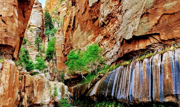 Exploring Enchanting Water Canyon—a Multifaceted Gem, Hildale,&nbsp;UT