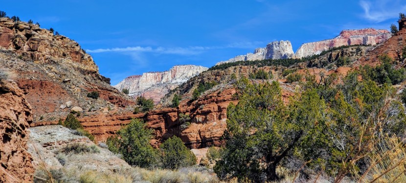 Coalpits Wash—Wonderful, Zion&nbsp;Wilderness