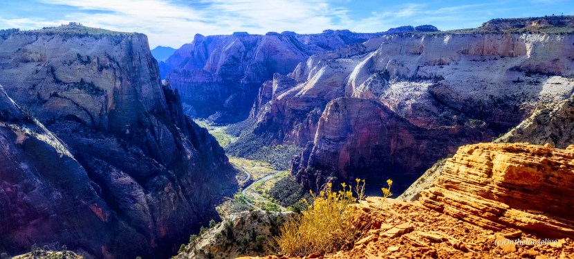 Stave Springs to Observation Point, Zion—Take the Hike Less-Traveled for an Engaging “Angel’s Landing-Like” Experience Without the&nbsp;Crowds
