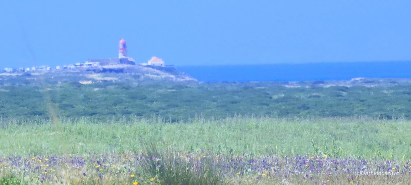 Another Dreamy Day With Top Bike Tours Portugal: Carrapateira to&nbsp;Sagres